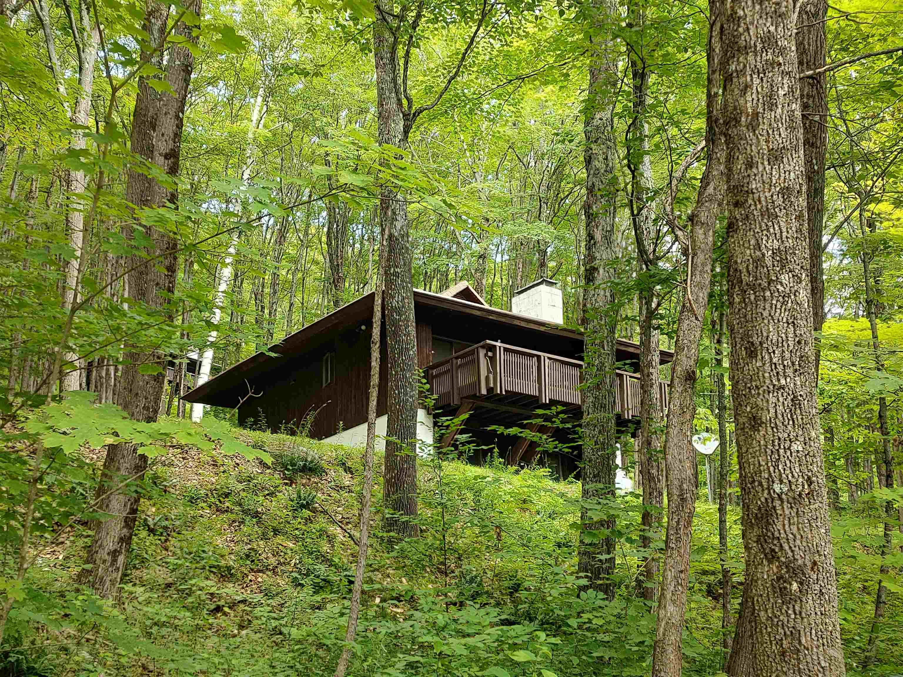 near 111 Forest Lane Rochester, VT 05767 Property 3