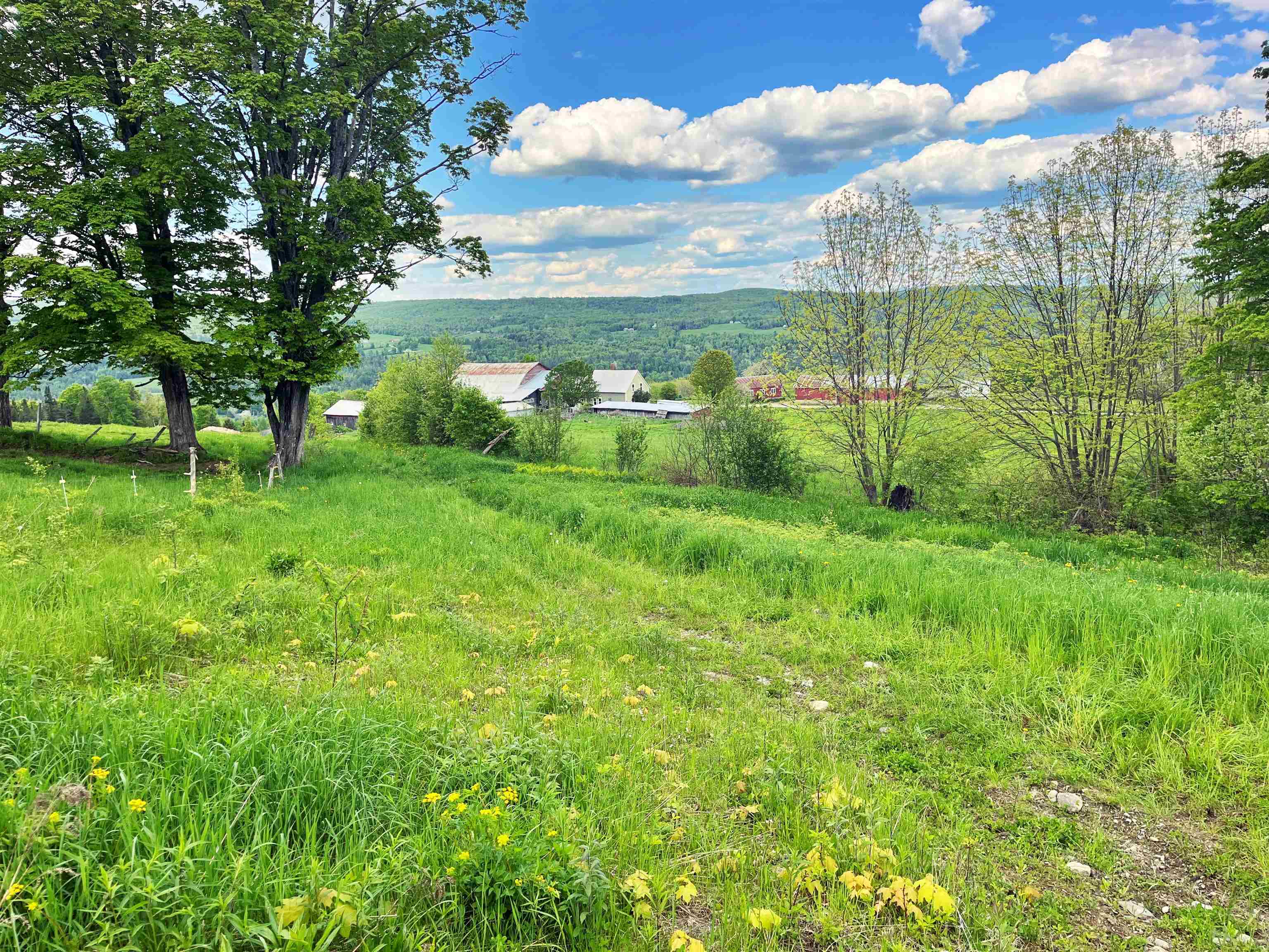 near 4716 S Wheelock Road Wheelock, VT 05851 Property 2