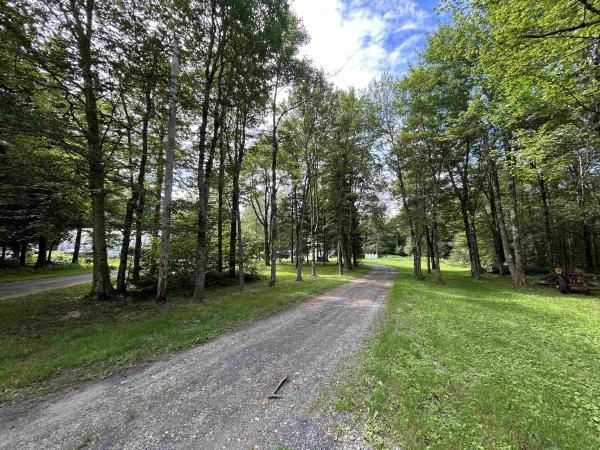 639 Wiley Mountain Road